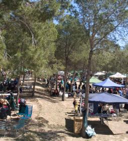 El Parc de la Séquia Mare congrega a las peñas de Benidorm para disfrutar del...
