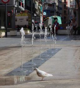 Benidorm inicia el expediente de contratación del nuevo servicio de mantenimi...