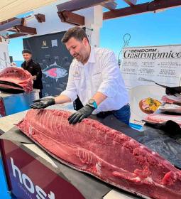 Benidorm presenta la VI edición de las ‘Jornadas del Atún’ con el ronqueo de...