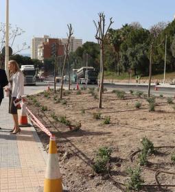 Concluye la construcción de las tres nuevas rotondas en la avenida El Murtal...