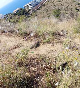 Benidorm acomete una limpieza intensiva en los acantilados de la Serra Gelada...