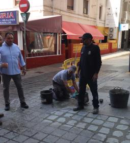 Benidorm acomete trabajos de mantenimiento y conservación del entorno peatona...
