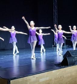 El Conservatorio de Danza da a conocer su oferta formativa entre el alumnado...