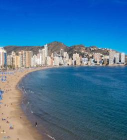 Benidorm compensa con la plantación de más de 1.800 árboles la huella de carb...