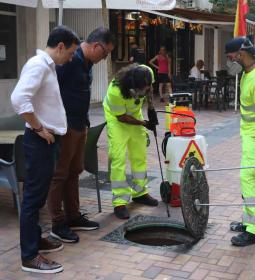 Benidorm intensifica los tratamientos de desinsectación en las redes de alcan...