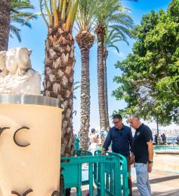 Benidorm repone ejemplares de palmeras dañadas en el Parque de Elche, Paseo d...