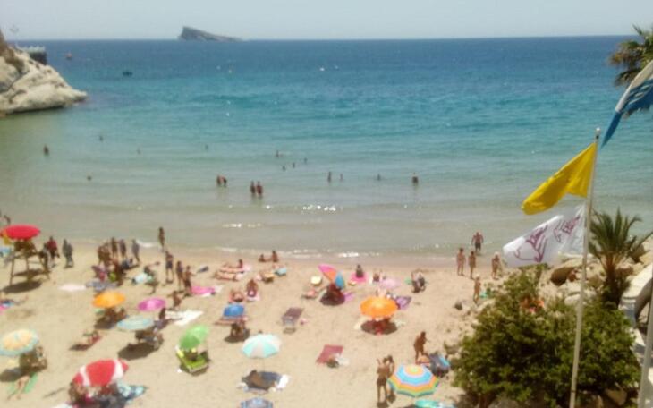 Benidorm activa durante dos horas el protocolo por carabela portuguesa en las playas tras detectar dos ejemplares