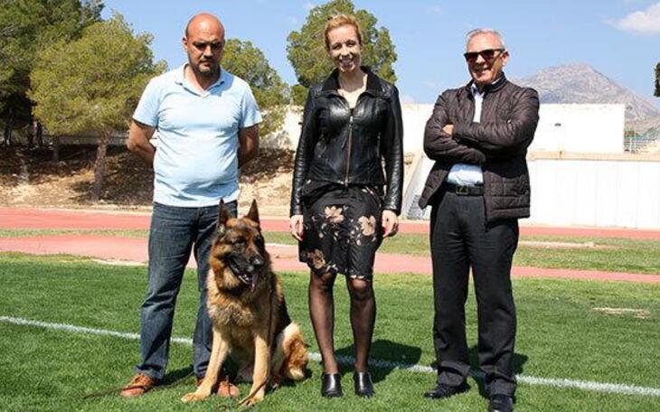 Los mejores ejemplares de pastor alemán de España se citan en el Guillermo Amor 