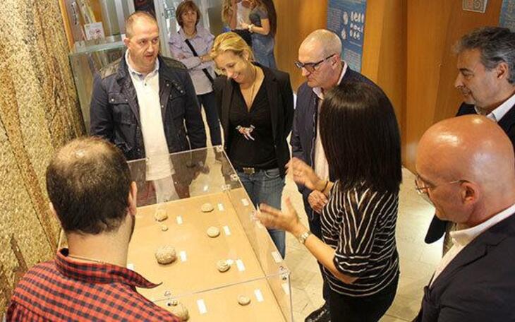 La Biblioteca Municipal acoge una exposición con una selección de fósiles del Patrimonio Paleontológico
