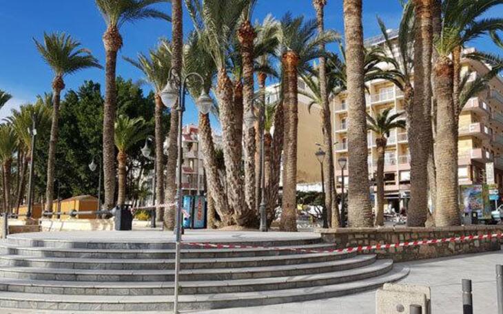 Rachas de más de 60 km/hora provocan la caída de varios árboles en la vía pública y aconsejan cerrar preventivamente el Parque de Elche