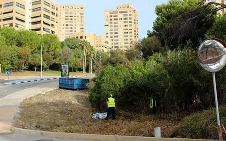 Benidorm solicita una subvención de 317.000 euros para contratar a jóvenes desempleados menores de 30 años 
