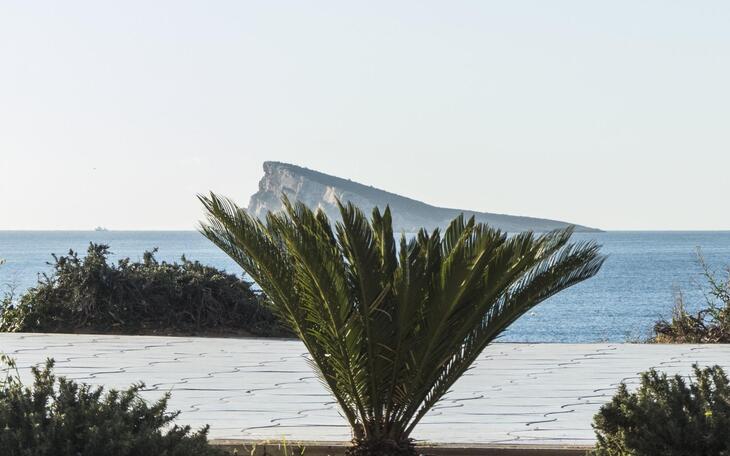 Escena Urbana arregla los parterres y jardines del Paseo de Poniente 
