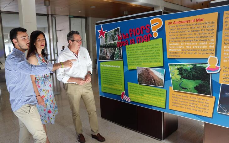 ‘La mar de ciències’ ya se puede ver en el Espai d’Art del Ayuntamiento de Benidorm