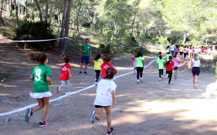 Cerca de 350 escolares participan en el Cross que da inicio a los XXXVIII Juegos Escolares de Benidorm