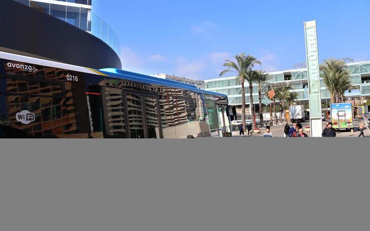 El Ministerio concede una subvención de más de 260.000 euros a Benidorm al transporte público colectivo 