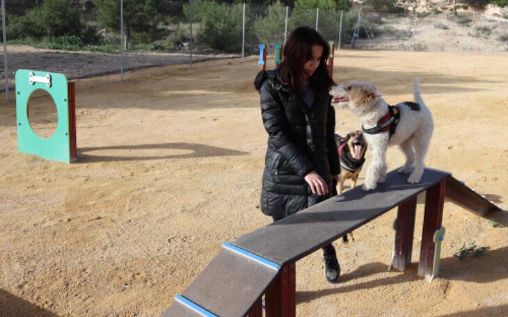 La Colonia Madrid amplía y mejora la zona de mascotas con un Benicán con espacio ‘Agility’