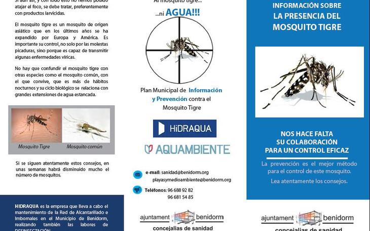 Ayuntamiento e Hidraqua inician una campaña informativa para evitar la proliferación del mosquito tigre