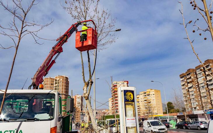 Espacio Público Poda