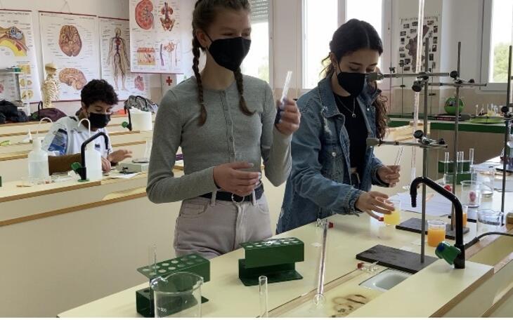 El IES Bernat de Sarrià, premiado en un concurso de la Fundación Española para la Ciencia y la Tecnología