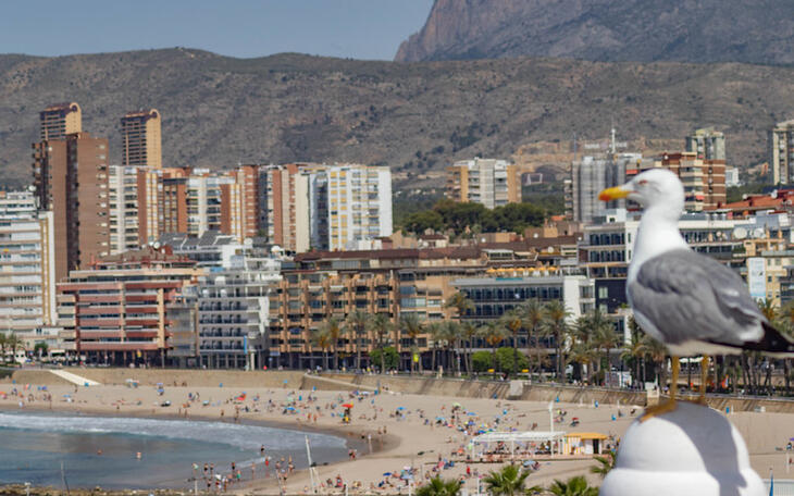 El sector alojativo de Benidorm podrá solicitar a partir del martes la nueva línea de ayudas frente a la Covid-19 