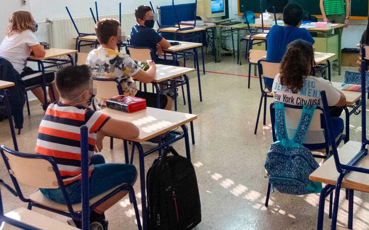 Benidorm solicita una subvención de 161.000 euros para desarrollar el programa ‘Activem els col•les’