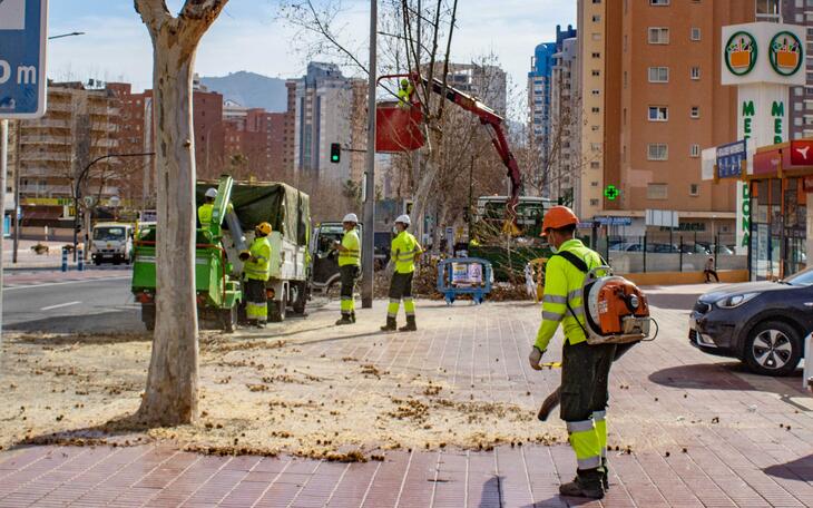 Espai Públic avança en la poda de tot l