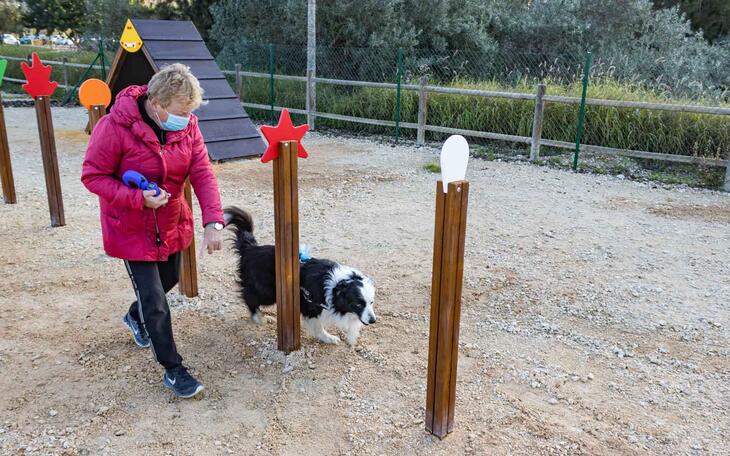 Benidorm incorpora una zona ‘Agility’ al Benicán del Rincón de Loix