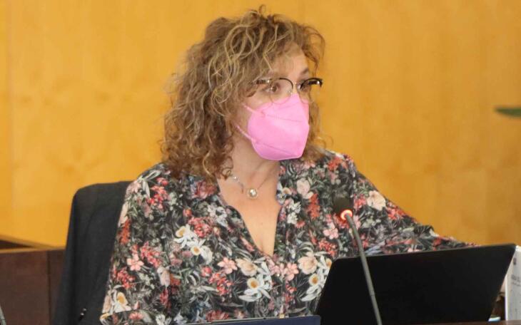 Lourdes Caselles en el pleno de hoy.