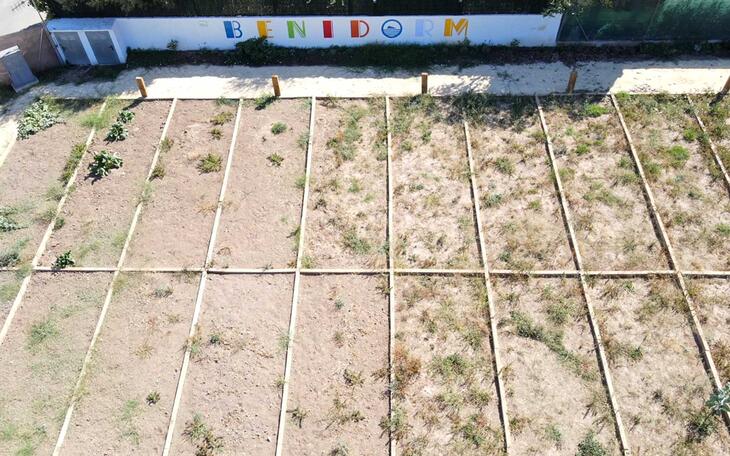 Todas las personas y entidades solicitantes de huertos urbanos en l’Horta tendrán una parcela