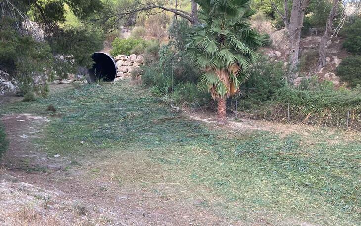 Benidorm acomete la limpieza de los barrancos para minimizar efectos de fuertes lluvias