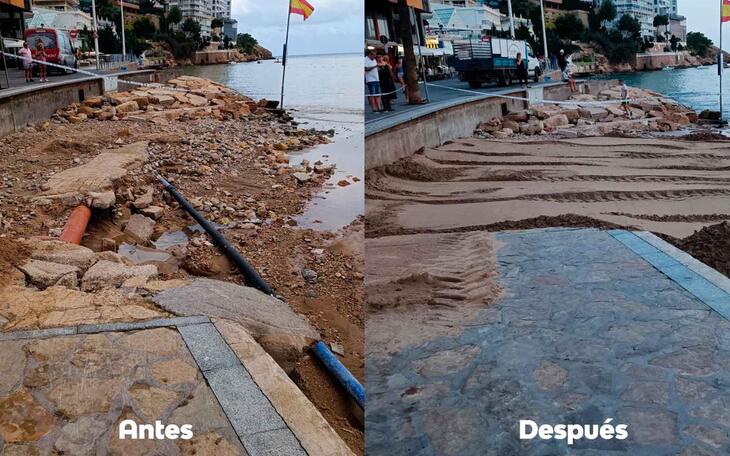 Temporal