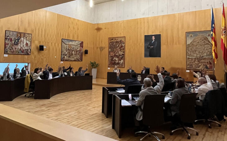 Pleno ordinario noviembre 2022