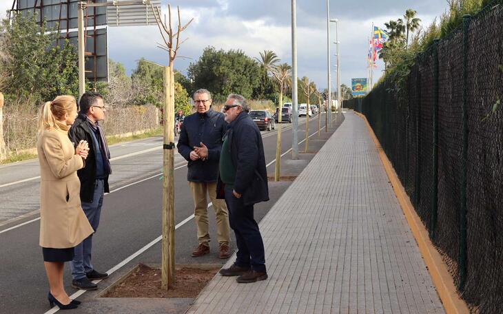 Plantación de nuevo arbolado