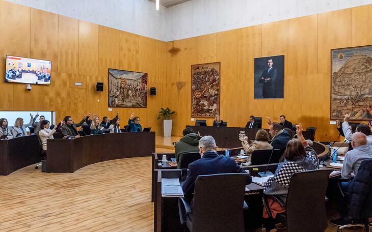 Pleno ordinario Enero 2023