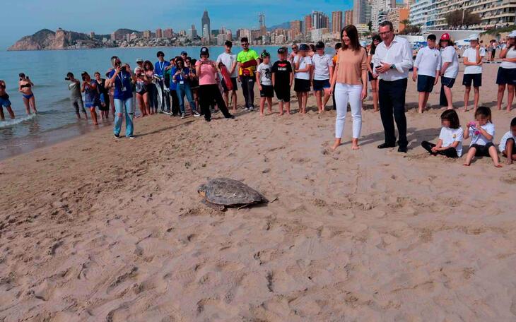 Tortuga