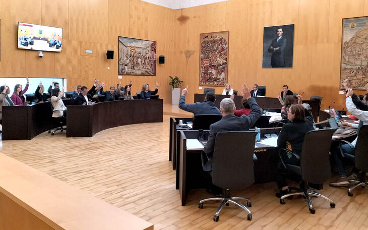 Pleno ordinario marzo 2023
