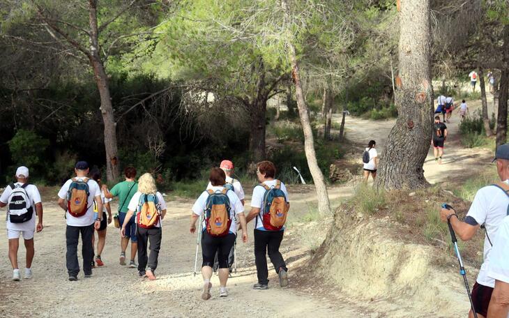 El nuevo contrato de parques y jardines incluirá la gestión del Moralet y un aumento de personal y maquinaria