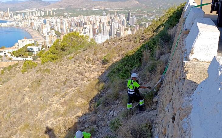 Benidorm inicia una campaña de limpieza y desbroce de caminos rurales, laderas y parkings disuasorios 