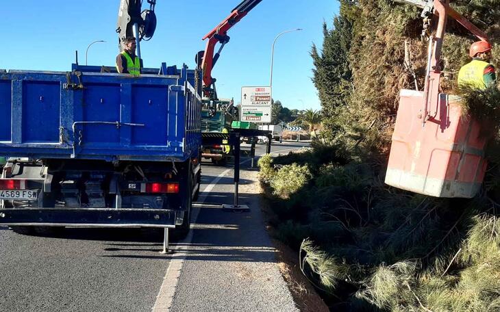Cortado el acceso de la N-332 a Levante desde l’Alfàs del Pi y Altea por trabajos de poda de la Unidad de Carreteras