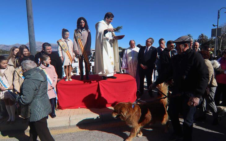 Festividad de San Antoni Abad en Benidorm