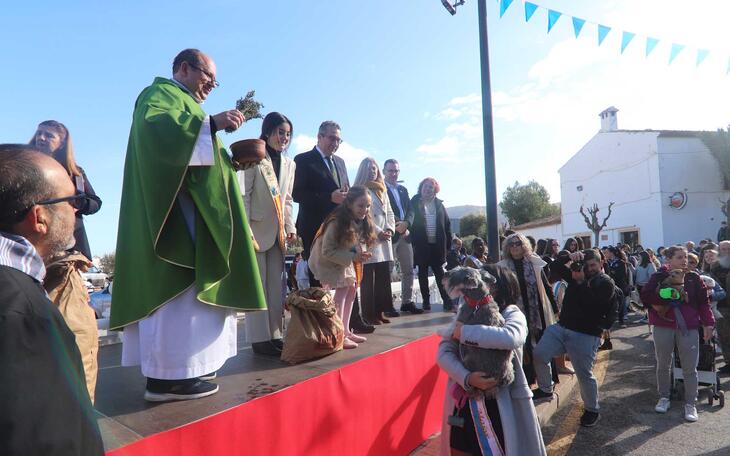 Fiestas de Sant Antoni 2024