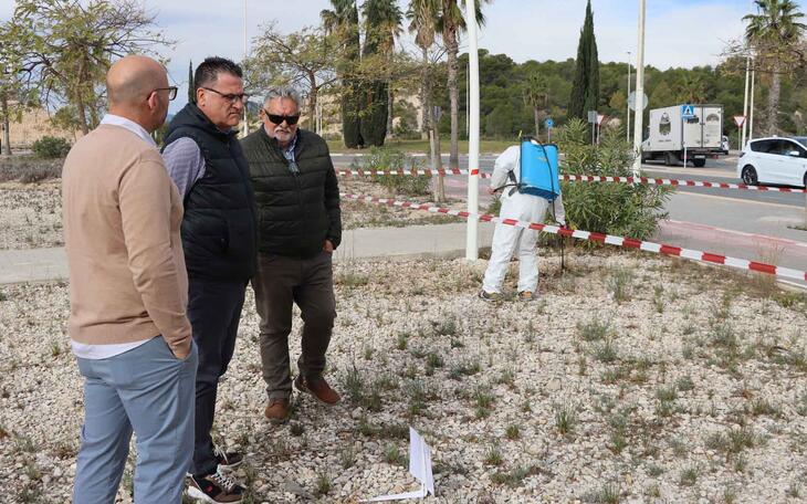 Benidorm prueba un novedoso sistema natural para combatir las malas hierbas en parques, jardines y vías públicas 