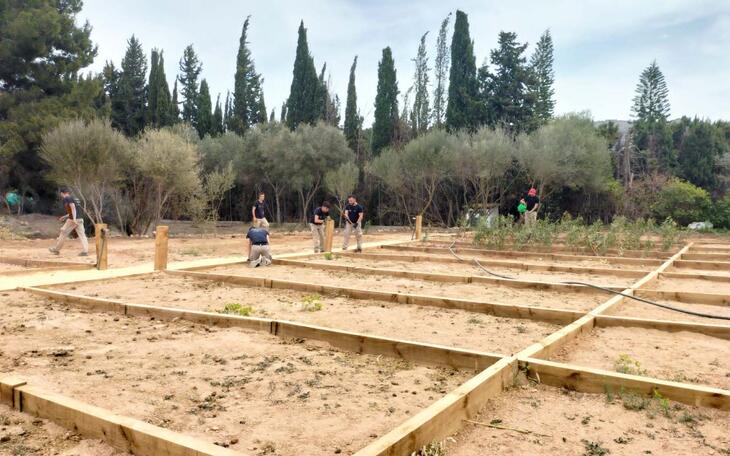 Benidorm contratará y formará durante un año en jardinería y educación ambiental a 20 jóvenes con el programa ‘T’Avalem’