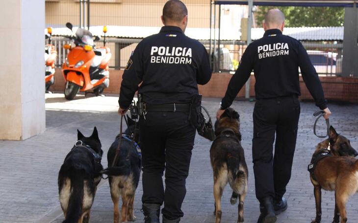 Un detenido por un presunto delito contra la salud pública en una actuación conjunta de las Policías Local y Nacional en dos clubs cannábicos 