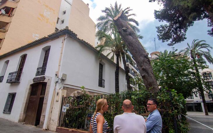 Hort de Colón