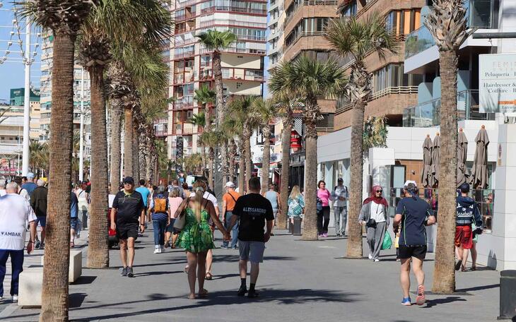 Benidorm vuelve a convocar las ayudas para impulsar nuevos proyectos emprendedores 