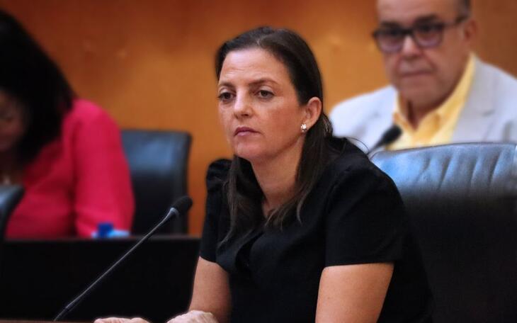 Cristina Escoda del grupo Socialista.