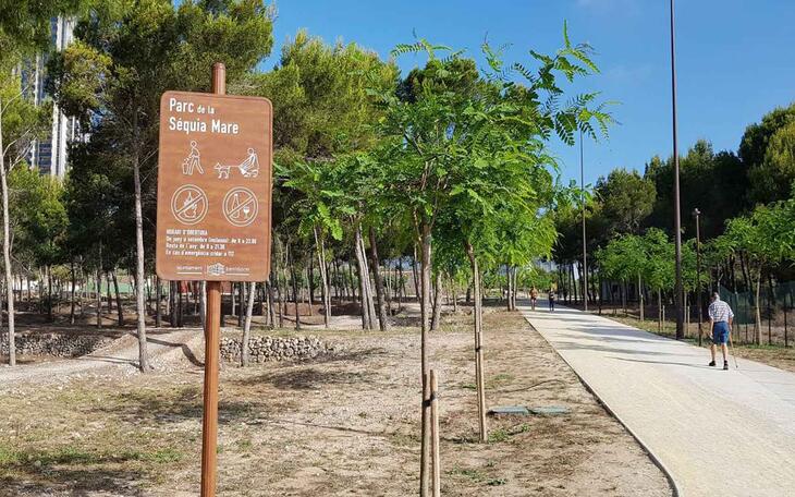 Benidorm invierte 50.000 euros en la plantación de nuevo arbolado en parques y vías urbanas 