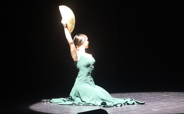 Espectáculo de danza y flamenco 