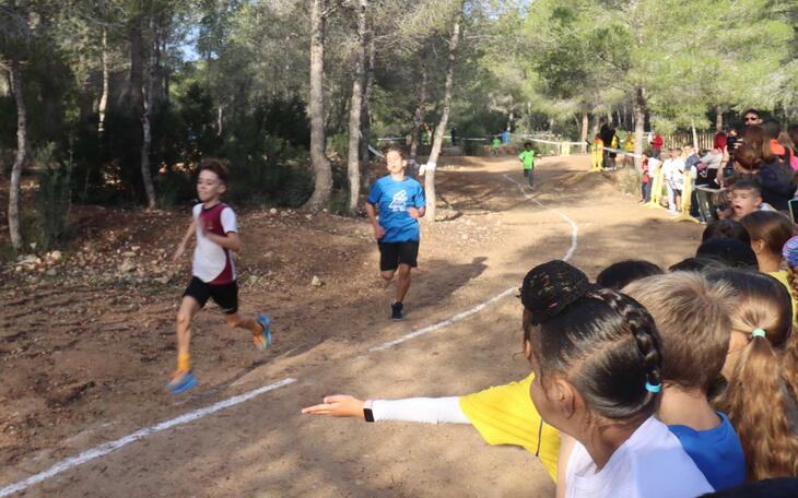 Cross Escolar 2024